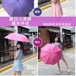高颜值女折叠魔术雨伞遮阳伞晴雨两用防暴雨加大防晒防紫外线便携