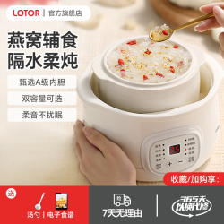 LOTOR徕多电炖锅小型隔水炖盅多功能煲汤锅全自动家用陶瓷煮粥锅