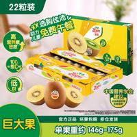 佳沛 阳光金果 奇异果 巨大果 单果146-174g 22个