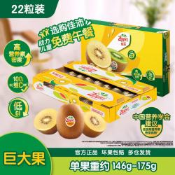 佳沛 阳光金果 奇异果 巨大果 单果146-174g 22个