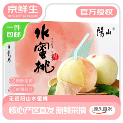京鲜生 水蜜桃 单果4-5两 10粒装 2.4kg