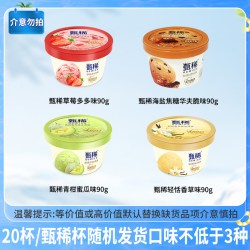 甄稀 冰淇淋组合装