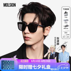 MOLSION MS3131C10 偏光 太阳镜
