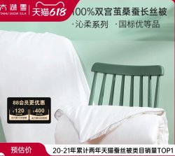 太湖雪 蚕丝被100%桑蚕丝夏凉被春秋被芯二合一子母被优等品  150X215CM