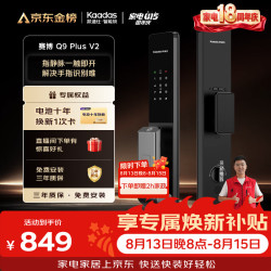 凯迪仕 Q9 Plus V2 指静脉识别 智能门锁