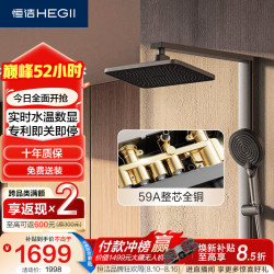 恒洁 D50 Pro 即关即停 全铜方管花洒套装 DMF967-334S-SH