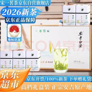 宋一 2026新茶安吉白茶特级5罐礼盒装250g绿茶送礼