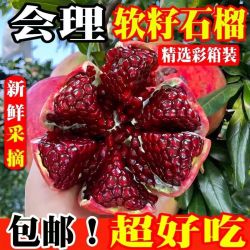 乐哆源 四川会理突尼斯软籽石榴 5斤 单果300g