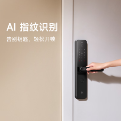 小米 XMZNMST12LK 指纹密码解锁 星辰黑 智能门锁