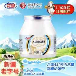 花园 低温风味酸奶新疆冰淇淋酸奶1kg/桶 日期新鲜 新疆特产 1kg*2桶