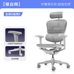 Ergonor 金豪B 人体工学电脑椅