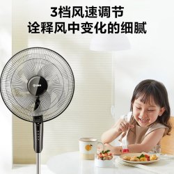 艾美特 电风扇落地扇家用轻音立式定时风扇大风力摇头扇节能低噪