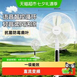 格力 电风扇一级能效家用直流变频节能大风遥控落地扇卧室轻音风扇