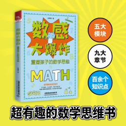 中国铁道出版社 数感大爆炸 重塑孩子的数学思维 科普百科