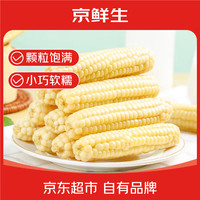 京鲜生 西双版纳拇指小玉米 1斤装