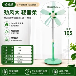 中联 风扇家用音轻电风扇落地式软叶片落地扇立式客厅卧室宿舍遥控