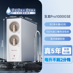 安吉尔 政府补贴安吉尔净水器家用厨房自来水ro过滤直饮机玉龙pro1000GSE