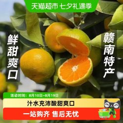淘天然 正宗江西寻乌蜜桔青橘 3斤