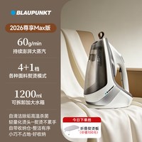 BLAUPUNKT 德国蓝宝熨烫机家用小型手持蒸汽挂烫机全自动增压台挂一体电熨斗