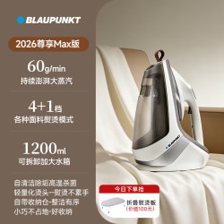 BLAUPUNKT 德国蓝宝熨烫机家用小型手持蒸汽挂烫机全自动增压台挂一体电熨斗