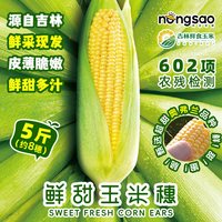 移动端：东北农嫂 [鲜采现发]东北农嫂水果甜玉米穗5斤约8根甄选奥弗兰品种甜脆多汁