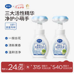 戴可思 植物泡沫洗手液 300ml*2瓶
