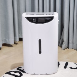 WELLAND 除湿机家用干燥防潮吸湿抽湿器卧室客厅干衣机除潮盒DH-252B