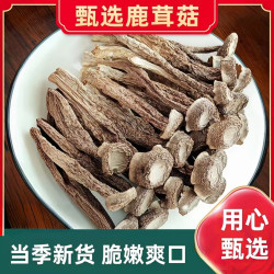 鹿茸菇干货正品官方旗舰店香菇蘑菇新鲜云南脆脆菇