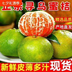 平晏果园 江西寻乌蜜桔青皮橘子无籽酸甜多汁应季孕妇水果产地直发