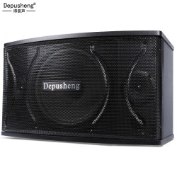 depusheng D100 专业 KTV音箱套装