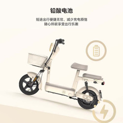 爱玛 小金豆 48V铅酸电池 新国标电动自行车
