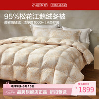 水星家纺 A类抑菌阻螨95%白鹅绒冬被芯防钻绒秋冬羽绒被子 南法赫拉花园白鹅绒冬被150*210cm