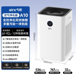 airx 气熙airx空气净化器家用室内全效除甲醛细菌病毒吸毛神器A10