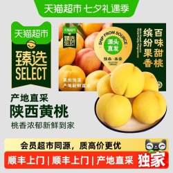 孙悟空 猫超臻选孙悟空正宗黄桃新鲜水果当季现摘大果黄金蜜桃鲜果脆桃子