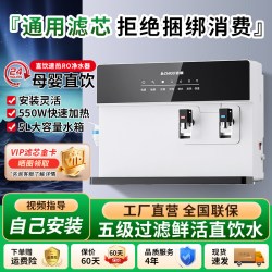 志高 净水器家用直饮加热一体机厨房自来水即热饮水机过滤政府补贴