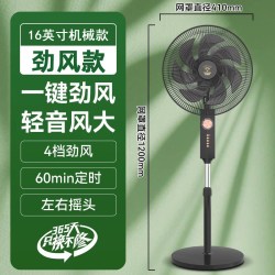 钻石牌 落地电风扇家用静音一级能效风扇卧室客厅摇头直流落地扇