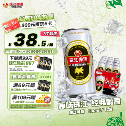 珠江啤酒 经典老珠江啤酒 500ml*12听