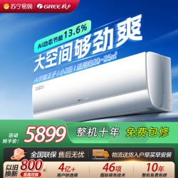 格力 空调KFR-46GW/NhLa1BG