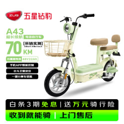 五星钻豹 长续航 电动自行车