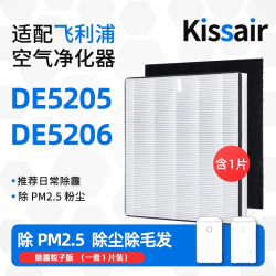 KISSAIR 适用飞利浦空气净化器除湿机过滤网DE5206/DE5205/FY1119滤芯HEPA