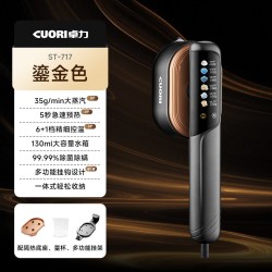 卓力 手持挂烫机2026新款家用小型熨烫机蒸汽熨斗轻云·鎏金ST-717