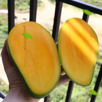 果迎鲜 四川攀枝花凯特果 青皮芒 青芒 芒果4.5斤