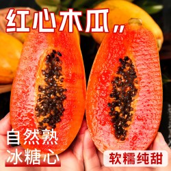 探歌 红心牛奶木瓜新鲜水果当季树上熟自然熟9斤整箱包邮冰糖心青木瓜