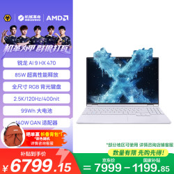 机械革命 无界15X Pro暴风雪(AI9 HX 470 16G 1T  99Wh 120Hz 2.5K)办公笔记本电脑轻薄游戏本