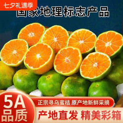 平晏果园 正宗江西寻乌新鲜桔子青皮蜜桔蜜橘特早当季孕妇水果