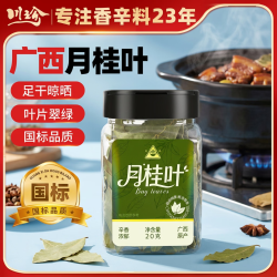 川珍 香叶20g瓶装广西月桂叶炖烧卤肉火锅底料调料香辛料