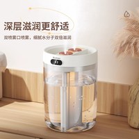 羽博 家用加湿器便携空气补水喷雾器