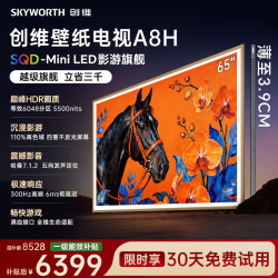 创维 电视机 65A8H
