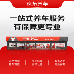 京东养车 汽车贴片补胎到店服务 适用于19寸及以下轮胎城市专享