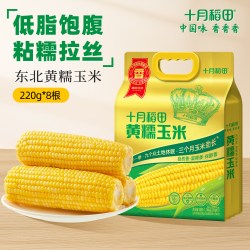 十月稻田 玉米浆包东北糯玉米新鲜甜黄糯黏粘玉米饼粑粑早餐